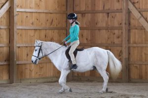 Equine therapy 