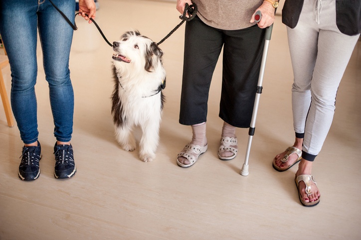 therapy dogs improve patient outcomes