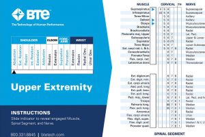 Muscle Joint Action Guide MJAG - Quick Anatomy Reference Tool by BTE