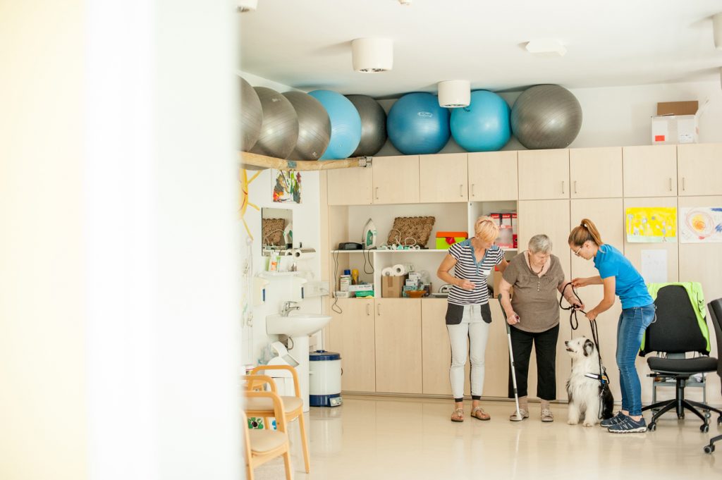 Therapy dogs in the clinic - How animal assisted therapy can benefit your practice